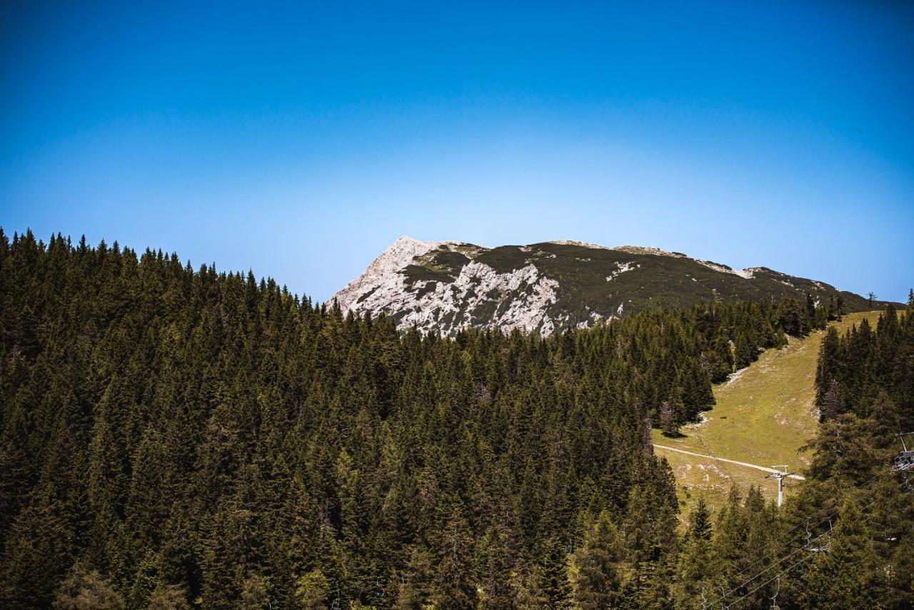 Apartments Zvoh, Krvavec, Ski-In, Ski-Out Cerklje na Gorenjskem Luaran gambar